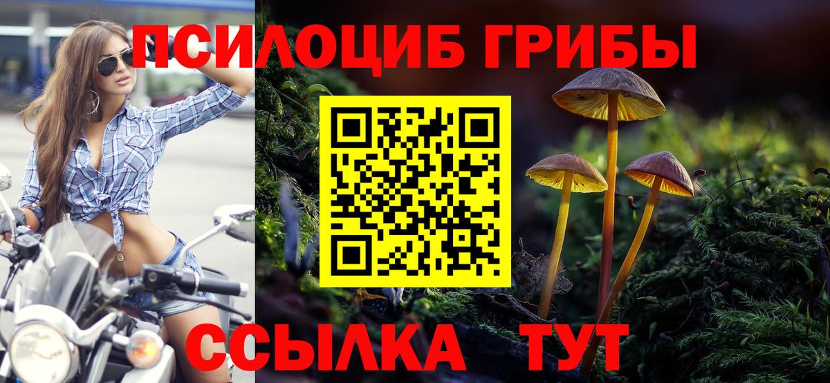 Псилоцибиновые грибы мухоморы  Вход с VPN  магазин    Галлюциногенные грибы MAGIC MUSHROOMS  Медногорск 