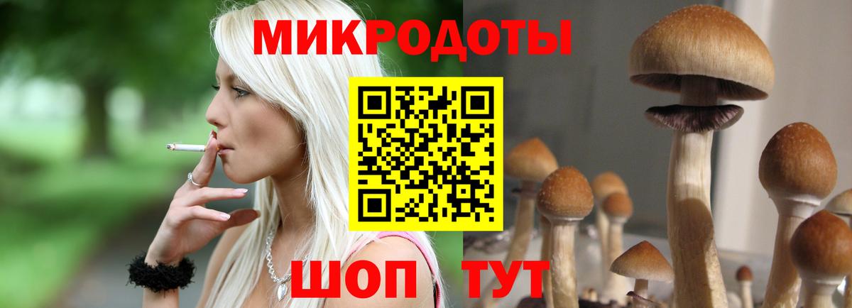 Псилоцибиновые грибы GOLDEN TEACHER Медногорск
